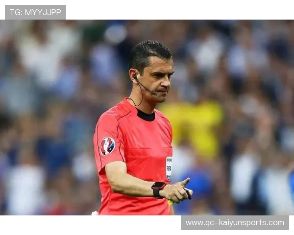 裁判误判视频被反复播放，联盟启动独立复核