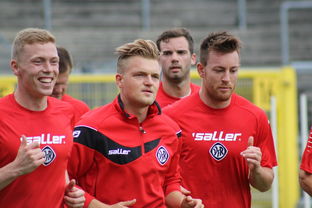 开云体育登录网站入口-球队在欧洲杯中以严密防守见长，稳步推进，欧洲杯参赛球队分析